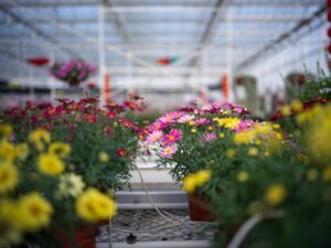  o4tksoybjv6f5ydsavyp72bryw2g 9adv9opocbelpefeyxl31l4ec3ovfwofnjgckn30ylpk4bptquqwxoi g7r5qtet8esvdo sjosgo