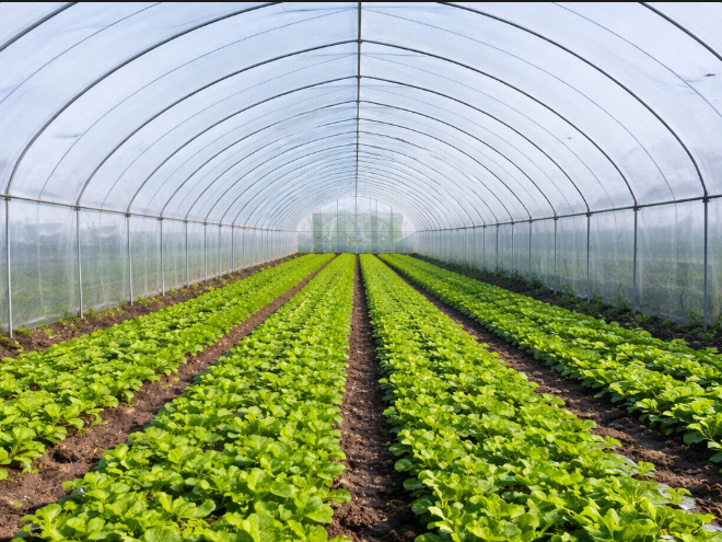 screenshot 2026 02 28 191535 020