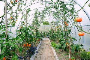 ezwle1t5sjsrxpn7iszxjzg8ftcpiszwlmrser1kn47wmjah5k0nu2lgjihhj1vbh4uschy8yiic4xnkbxk5q3aoyms2lnx 08h5ahpcatc (1)