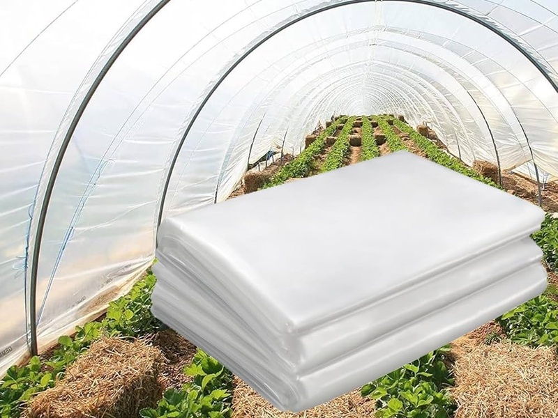 greenhouse 1 800x600