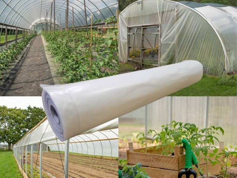 greenhouse 2 800x600